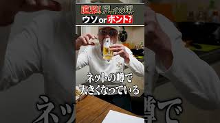 【噂の真相】小沢仁志vs本宮泰風 若かりし日に「ぶっ飛ばした」ってマジ！？【嘘or本当？】 [upl. by Anivek]