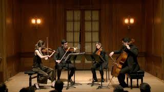 Vera Quartet HAYDN — Quartet in G major Op 76 No 1 [upl. by Squire]