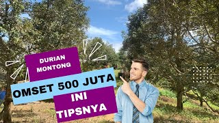 Durian montong omset 500 juta per musim [upl. by Newman]