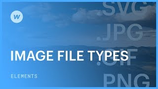 Image file types JPG PNG SVG GIF  Web design tutorial [upl. by Coco]