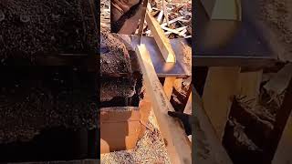 Cutting process of wood with sharp knife saw [upl. by Terrilyn]