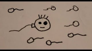 spermy the sperm A funny cartoon picking up cute chicks [upl. by Ettennan]