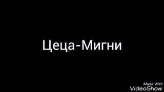 Ceca Trepni 2016 Bg text  Цеца Мигни  бг превод [upl. by Mazur]