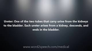 Ureter  Medical Definition and Pronunciation [upl. by Paine]