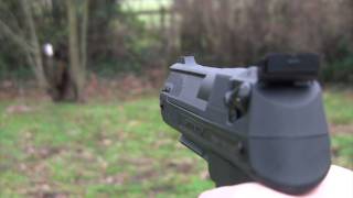 Webley Alecto Air Pistol Review by Nigel Allen [upl. by Vevine]