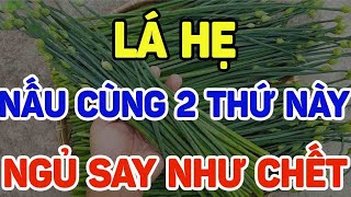 BÁC SĨ MÁCH ĂN LÁ HẸ CÙNG 2 THỨ NÀY NGỦ SAY NHƯ CHẾT GAN THẬN HỒI SINH [upl. by Bakeman384]