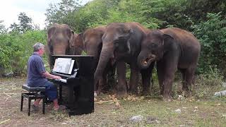 Beethoven quotPastoral Symphony on Piano for Elephantsquot [upl. by Jezreel]