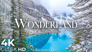 Wonderland 4K  Scenic Relaxation Film with Peaceful Relaxing Music and Winter Nature Video Ultra HD [upl. by Hairehcaz]