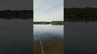 Fishing in the river fishing fiske norrland nature autumn indalsälven [upl. by Tnahs]