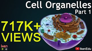 Cell Organelles  Part 1  Animation Video  Iken Edu [upl. by Peri]