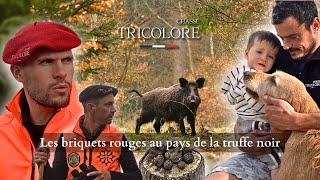 Saison chasse 2024  Chasse au sanglier dans le lot au pays de la truffe [upl. by Aisya932]