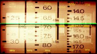 Visual DJ Sample  Radio Signal Scanner 2 [upl. by Avie215]