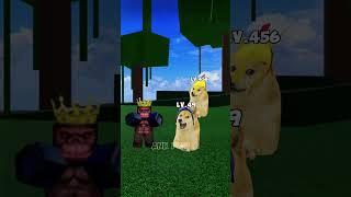 Help admin and roblox doge bloxfruits [upl. by Liryc77]