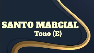 SANTO MARCHA  LETRAS [upl. by Ellenahs]