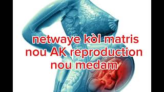 Netwaye kòl matris nou AK pati reproduction nou medam [upl. by Yssirc]