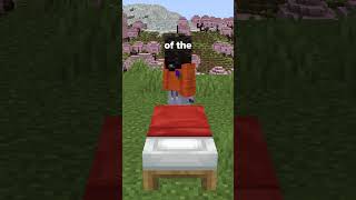 ALL MY BEDS DISAPPEARED 😭 minecraft infusesmp minecraftmemes [upl. by Rustice]