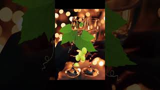 Tradición tomar las 12 uvas Costumbre Nochevieja Navidad nochevieja uvas suerte añonuevo [upl. by Jolie]