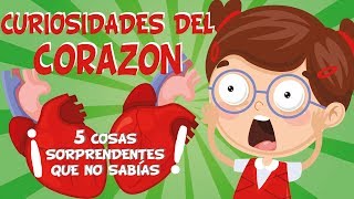 5 COSAS QUE NO SABÍAS DEL CORAZÓN  CURIOSIDADES FASCINANTES PARA NIÑOS [upl. by Lleumas729]