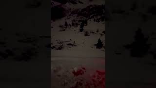 BALADE AU CLAIR DE LUNEpour ces trois loups la nuit de Noël 2023 dans la chaîne des Aravis [upl. by Duquette]