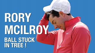 Rory Mcilroys ball gets stuck in a tree [upl. by Anaahs]