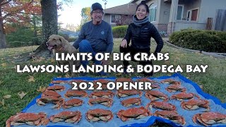 Crab Opener Lawsons Landing amp Bodega Bay TIPS TO LOCATE CRABS [upl. by Teeter]