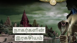 The Secret of Nagas part 1 Book summary in tamil [upl. by Nitsirt]