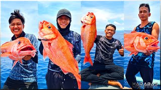 EP420Part3  Biggest Dulawan We Ever Caught  Longline Fishing  Occ Mindoro [upl. by Ardnatal]