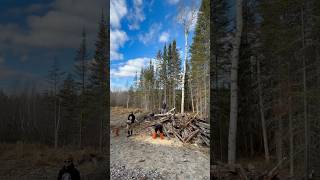 Getting our wood pile ready chainsaw wood camping farming selfreliance foryou preparation [upl. by Colinson]