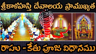 Srikalahasti Temple History  Srikalahasti Rahu Ketu Pooja process in Telugu Timings Ticket rates [upl. by Pejsach]