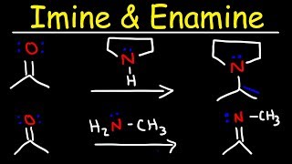 Imine and Enamine Formation Reactions With Reductive Amination [upl. by Moishe]