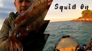 Squid fishing Woodmans Point Perth WA Epic Day On The Water [upl. by Gare]