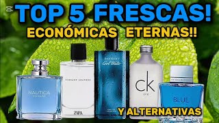 TOP 5 MEJORES FRAGANCIAS ECONÓMICAS FRESCAS Y ACUÁTICAS [upl. by Mellicent]