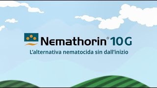 NEMATHORIN 10 G – L’alternativa nematocida sin dall’inizio [upl. by Mackenie189]