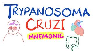 Trypanosoma Cruzi Mnemonic  Chagas Disease [upl. by Swetlana]