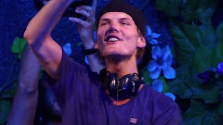 Avicii  Wake Me Up Live at Tomorrowland 27th July 2013 [upl. by Fernald214]