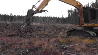 An Excavator at Work Making Mounds for Tree Planters [upl. by Nahtnoj]