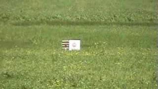 Ruger 1022 150 yard long shot in wind [upl. by Ragan]