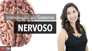 Sistema Nervoso 16 Introdução  Anatomia e etc [upl. by Adnohsak]