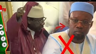 Sérigne Moustapha Sy démolit Sonko Sou doundé ba tal li ma takh mangui koy khar ba élection législ [upl. by Remas541]