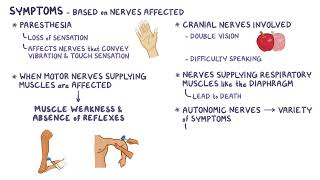 Guillain Barre Syndrome  Osmosis [upl. by Adniuqal]