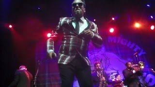 The Mighty Mighty Bosstones  The Rascal King  Live in San Francisco [upl. by Annahsor]