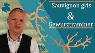 Les atouts de lassemblage Sauvignon gris amp Gewurztraminer [upl. by Faxen547]