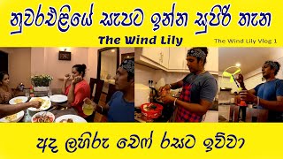 අපේ ෆැමිලි එක නැවතුන සුපිරි මන්දිරය 😍 Chicken Fried Rice With Chicken Devil 👍 The Wind Lily [upl. by Essilec]