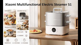 Xiaomi Multifunctional Electric Steamer S1 [upl. by Nirik]