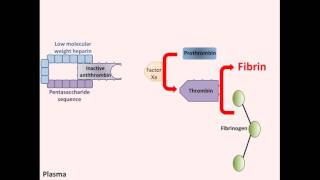 Heparin  Mechanism of Action [upl. by Claudia]