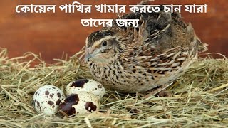 কোয়েল পালন পদ্ধতি ৩০দিনের কোয়েল পাখি [upl. by Rap875]