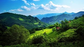 Cheerful and Upbeat Music  Happy Background Music  Uplifting and Fun Instrumental Music [upl. by Tsirc]