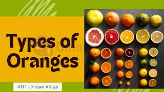 Types of Oranges  Different Types of Oranges  A Guide for Oranges [upl. by Hugues]