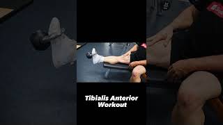 The Best Tibialis Anterior Exercise you need  tibialis kettlebell  calf workout [upl. by Linnette]