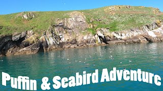 The Puffins and Seabirds of the stunning Skomer Island Wales [upl. by Odnolor694]